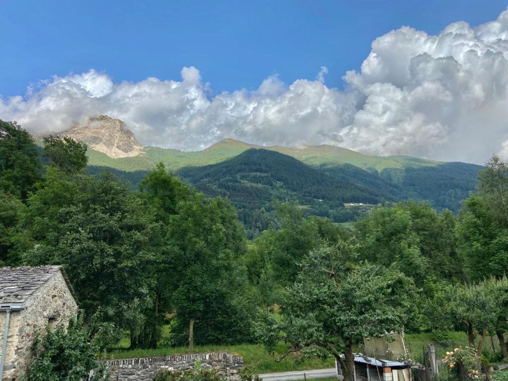 Bed and Breakfast Chasa Sassalbo Poschiavo Exterior foto
