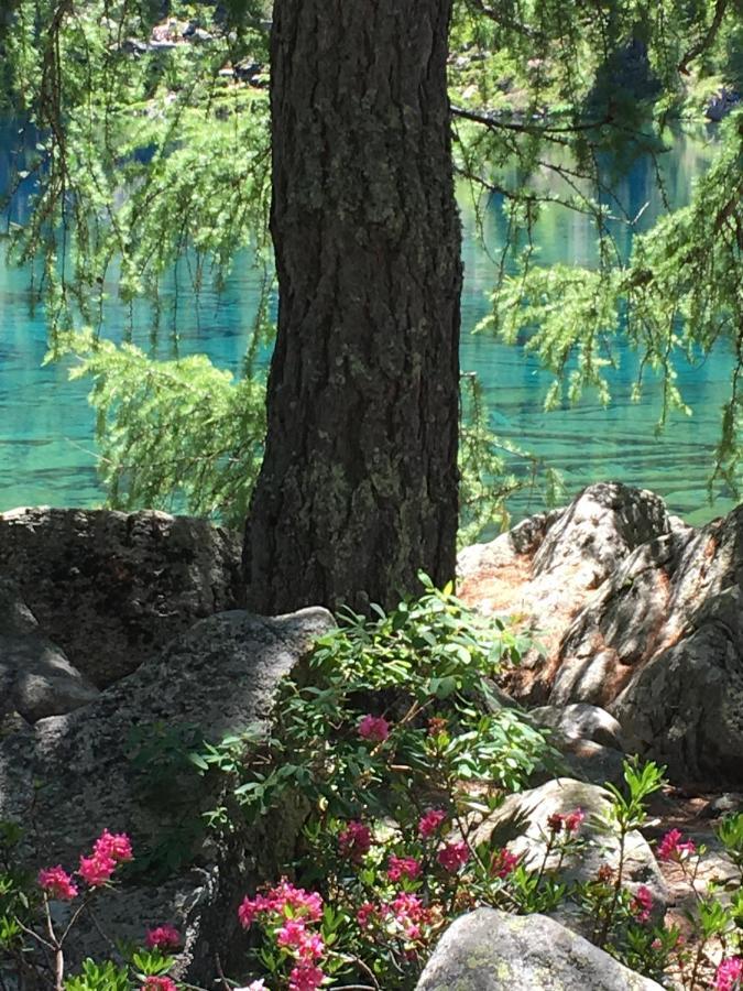 Bed and Breakfast Chasa Sassalbo Poschiavo Exterior foto